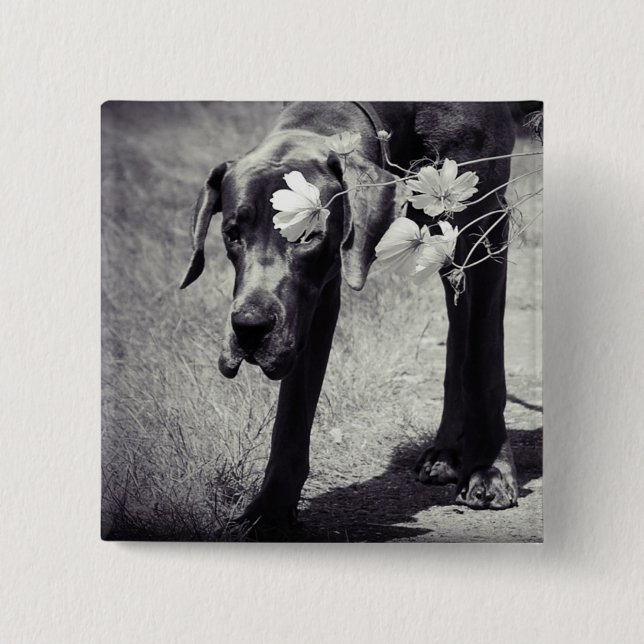 Dogge Balu 15 Cm Square Badge (Front)