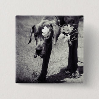 Dogge Balu 15 Cm Square Badge