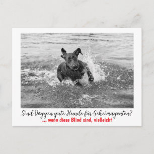 Dogge: der Hund für Geheimagenten Postcard