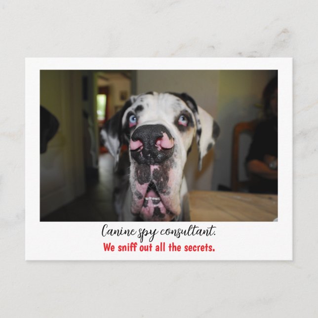 Dogge: the dog for secret agents  postcard (Front)