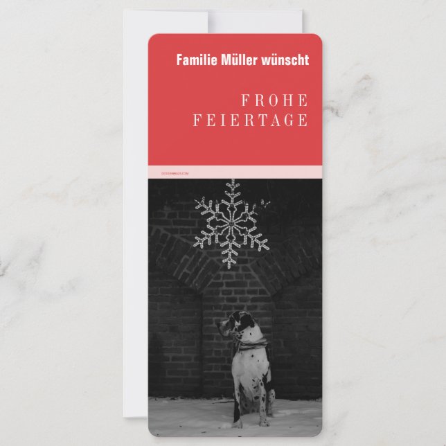 Doggen Ankündigungen (Front)