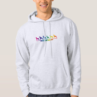 Doggen rainbow hoodie