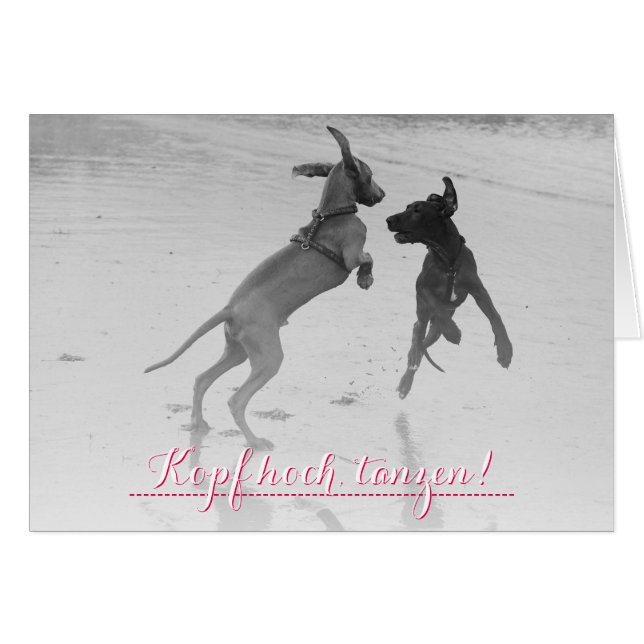 Doggenkarte "Tanzen" (Front Horizontal)