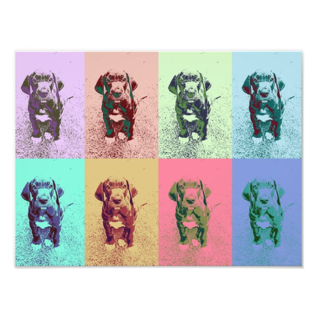 Doggenwelpe Photo Print (Front)
