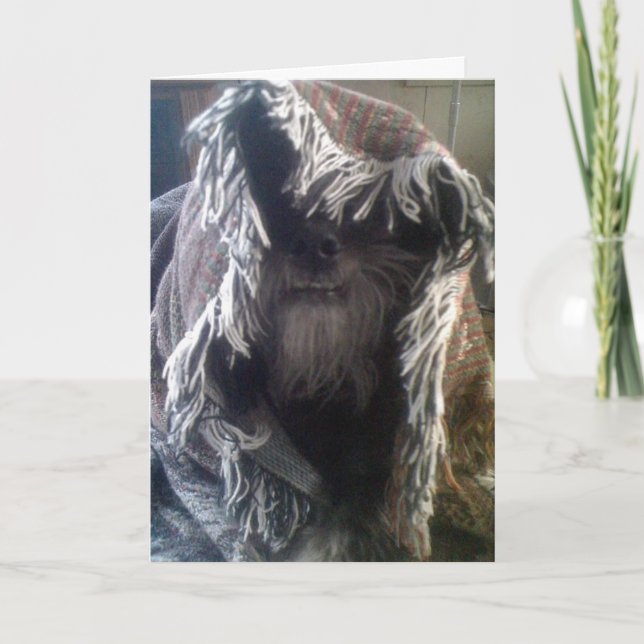 DOGGIE IN BLANKETS SAYS "HELLO" CARD (Front)