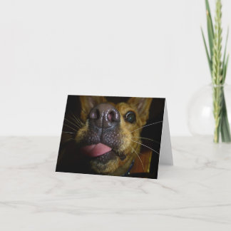Doggie Kisses Note Cards