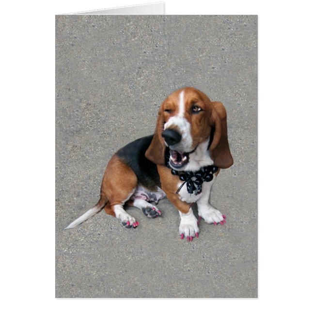 Doggone Cute (Front)