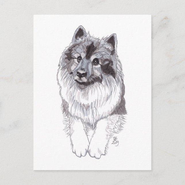 Doggust 2019 Keeshond Postcard (Front)