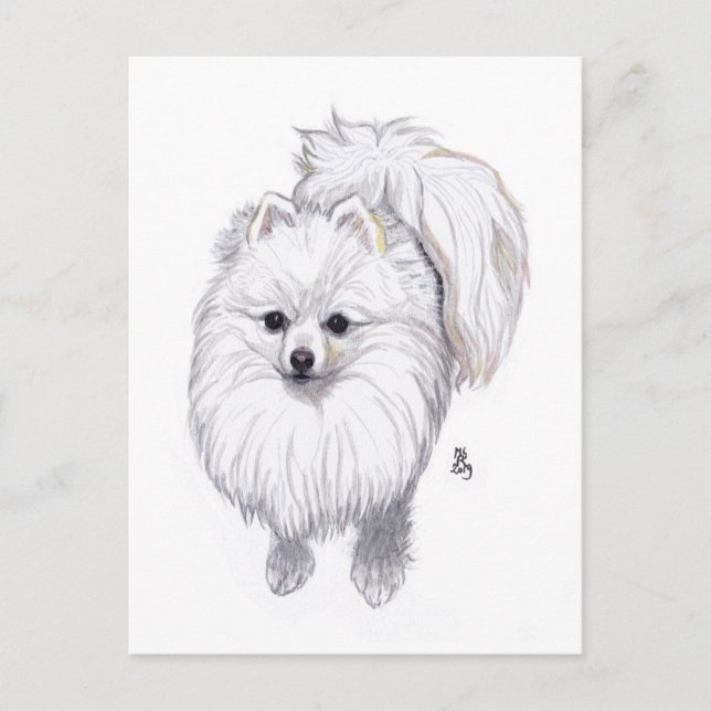 Doggust 2019 Pomeranian Postcard (Front)