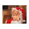 Doggy Christmas
