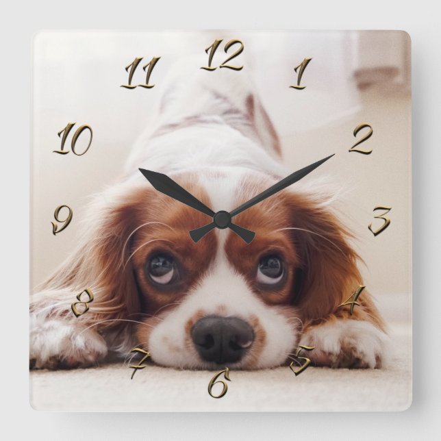 Doggy Square Wall Clock (Front)