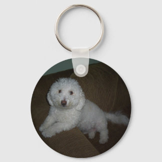 Dogluv Key Ring