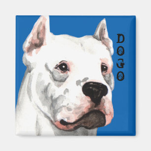 Dogo Argentino Colour Block Magnet