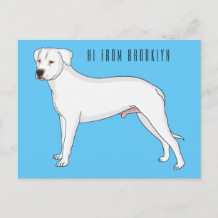 Dogo argentino dog cartoon illustration  postcard
