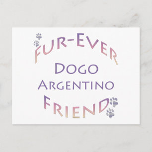 Dogo Argentino Furever Postcard