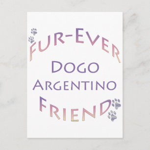 Dogo Argentino Furever Postcard