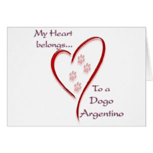 Dogo Argentino Heart Belongs