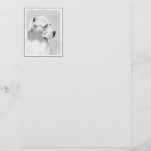 Dogo Argentino Painting - Original Dog Art