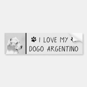 Dogo Argentino Painting - Original Dog Art Bumper Sticker