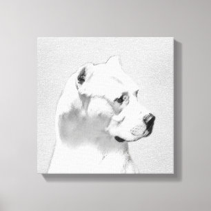 Dogo Argentino Painting - Original Dog Art Canvas Print