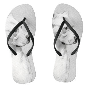 Dogo Argentino Painting - Original Dog Art Jandals