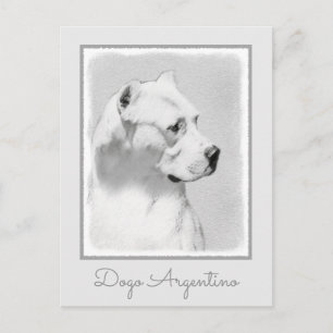 Dogo Argentino Painting - Original Dog Art Postcard