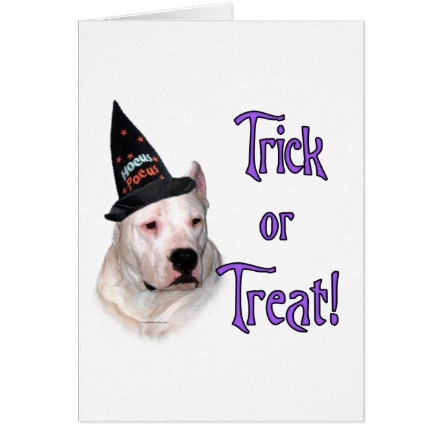 Dogo Argentino Trick (Front)