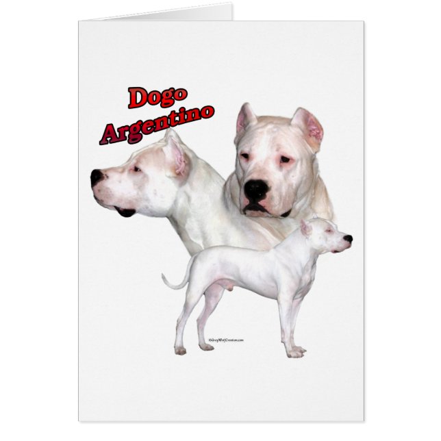 Dogo Argentino Trio 2 (Front)