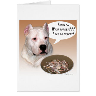 Dogo Argentino Turkey