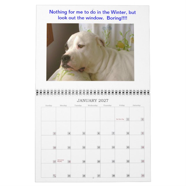 Dogo Calendar (Jan 2027)