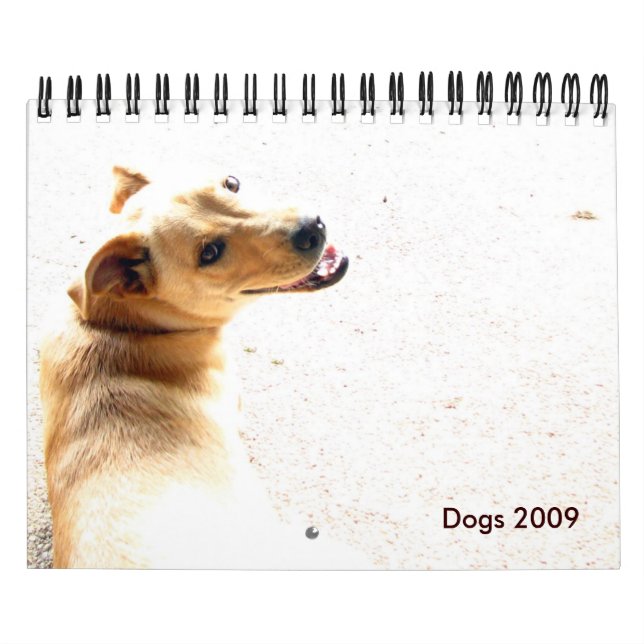 Dogs 2009 calendar (Cover)