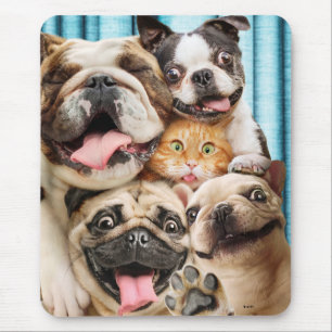 Dogs and a Cat Group Photo Mouse Pad