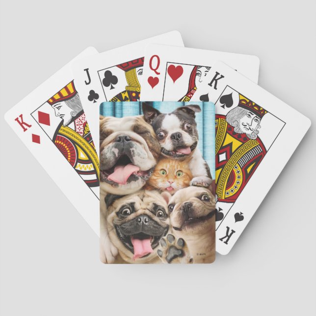 Dogs and a Cat Group Photo Playing Cards (Back)