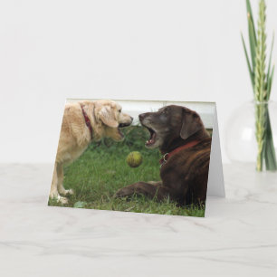 Dogs and Ball Birthday card