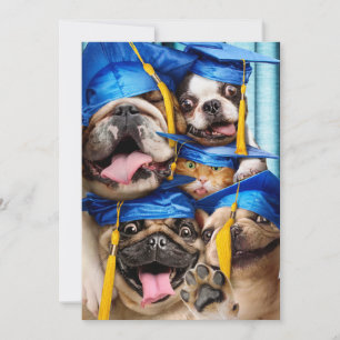 Dogs and Cat Grads in Photo Booth Invitation