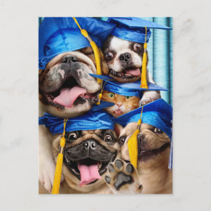 Dogs and Cat Grads in Photo Booth Invitation Postcard