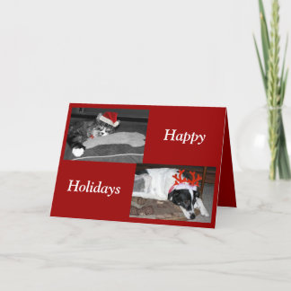 dogs and cats holiday card