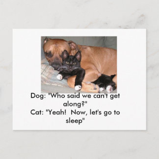 Dogs-and-Cats Postcard