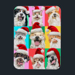 Dogs and Cats with Santa Beard Magnet<br><div class="desc">Merry Cuteness! | Avanti,  the Global Humour Brand™ has been entertaining the world with its Feel Good Funny greeting cards for over 40 years. Our characters live life to the fullest and celebrate the humour in everyday life.</div>
