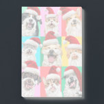 Dogs and Cats with Santa Beard Post-it Notes<br><div class="desc">Merry Cuteness! | Avanti,  the Global Humour Brand™ has been entertaining the world with its Feel Good Funny greeting cards for over 40 years. Our characters live life to the fullest and celebrate the humour in everyday life.</div>
