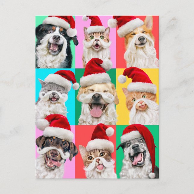 Dogs and Cats with Santa Beard Postcard (Front)