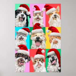Dogs and Cats with Santa Beard Poster