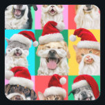 Dogs and Cats with Santa Beard Square Sticker<br><div class="desc">Merry Cuteness! | Avanti,  the Global Humour Brand™ has been entertaining the world with its Feel Good Funny greeting cards for over 40 years. Our characters live life to the fullest and celebrate the humour in everyday life.</div>
