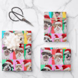 Dogs and Cats with Santa Beard Wrapping Paper Sheet<br><div class="desc">Merry Cuteness! | Avanti,  the Global Humour Brand™ has been entertaining the world with its Feel Good Funny greeting cards for over 40 years. Our characters live life to the fullest and celebrate the humour in everyday life.</div>