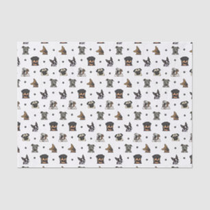 Dogs and Paws Tissue Paper