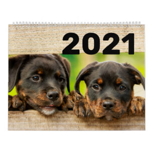 Dogs and Puppies 2021 Calendar