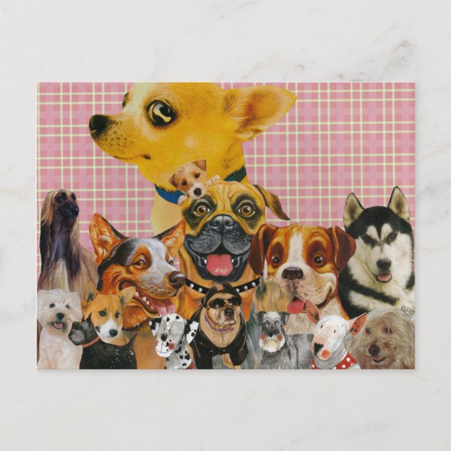 Dogs are Fun Postcard (Front)
