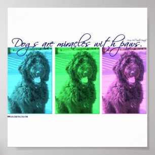 Dogs are Miracles with Paws Poster