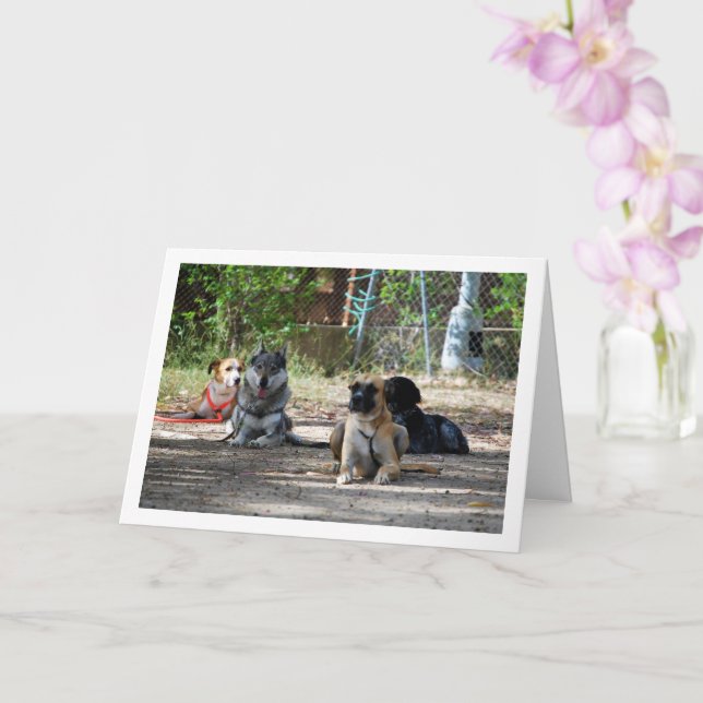 Dogs at Training School Card (Orchid)