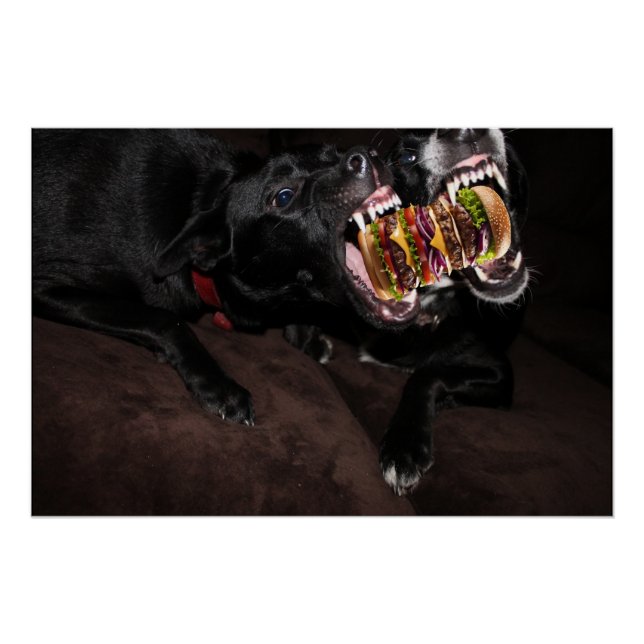 Dogs attacking a huge burger. poster (Front)